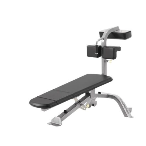 Freemotion EPIC Free Weight Abdominal Bench